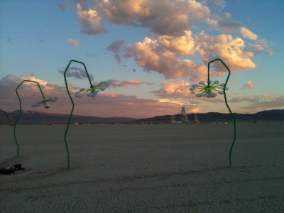 Burning Man 2011: black flowers before the temple